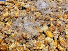 -三亚火车头万人海鲜广场