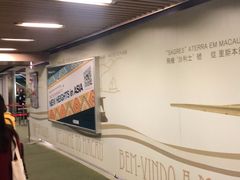 -中免(澳门机场免税店)