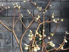 -芜湖方特东方神画