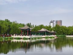 -莲花池公园