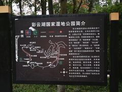 -重庆彩云湖湿地公园