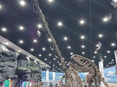 -吉林省自然博物馆