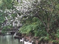 -兰亭风景区