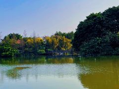 -海珠湖公园