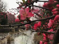 -武汉紫薇都市田园