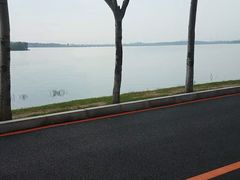 -丁香湖公园