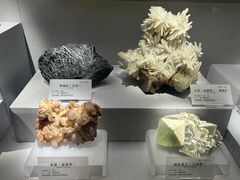 -湖南省地质博物馆
