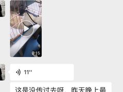 -中环花鸟鱼虫市场
