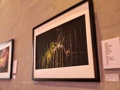 -MUSEE CAFE(保利·时光里店)