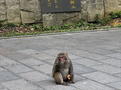 -唐师傅湘西名菜馆(武陵路店)