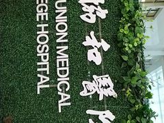 -北京协和医院(东单院区)