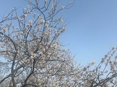 -碑林公园