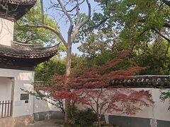 -汇龙潭