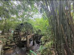 -大屏嶂森林公园