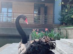 -上海怡沁园度假酒店