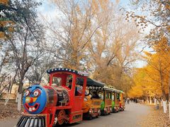 -长白岛森林公园