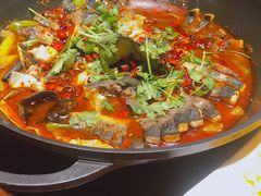 -Local泰莲庭(虹鳟鱼店)