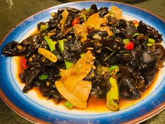 木耳炒肉-靠山屯东北农家菜(八龙桥雅苑店)
