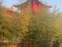 -茅山东方盐湖城景区