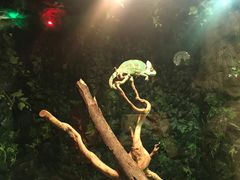 -多彩贵州城极地海洋世界