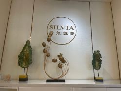 -茜尔维亚修身连锁(庆春银泰店)
