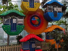 -南宫五洲植物乐园