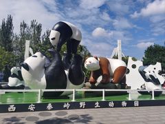 -西安秦岭野生动物园