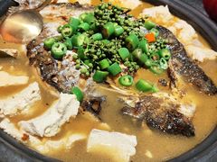 -探鱼·鲜青椒爽麻烤鱼(苏宁广场店)