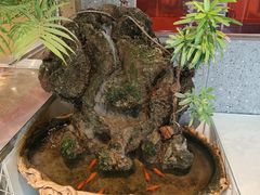 -兴蓉合川湘私房菜巫山烤鱼(人大店)
