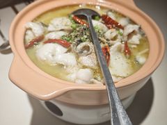 非主流酸菜鱼-Aqua Oasis 水天堂(石路天虹店)