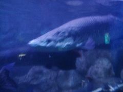 -水上乐园·欢乐世界