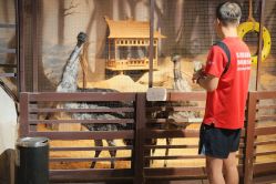 -酷嗒动物文化乐园(cutezoo西溪乐天城店)