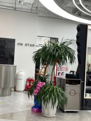 -ON STAR SALON