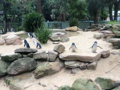 -费瑟代尔野生动物园