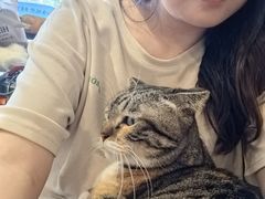 -平行世界·猫咖(首经贸店)
