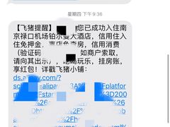 -南京禄口机场雅高铂尔曼大酒店