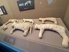 -上海博物馆-停车场