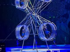 -灵玲国际马戏城