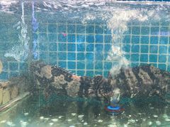 -三亚相缘海鲜·烧烤·糟粕醋(三亚湾店)