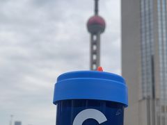 -陆家嘴中心绿地