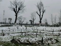 -瑶湖郊野森林公园