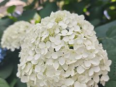 -国际非物质文化遗产博览园