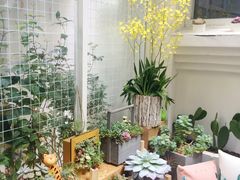 -拾壹cafe·工作室