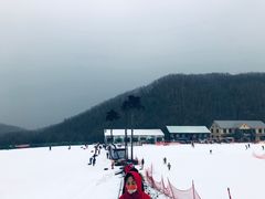 -五家山森林公园滑雪场