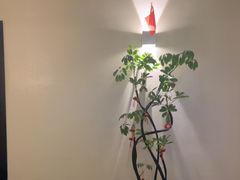 -涟LIAN·泰式按摩·MASSAGE·SPA(深业上城店)