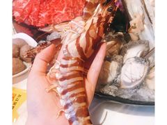 -鲜入围煮花胶鸡海鲜火锅