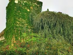-府河摄影公园