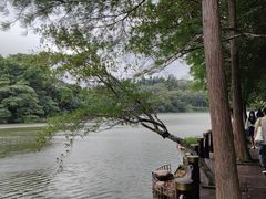 -深圳仙湖植物园