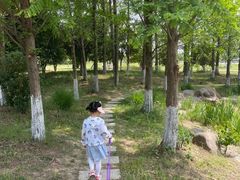 -澹台湖公园