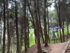 -金堂县云顶石城风景区